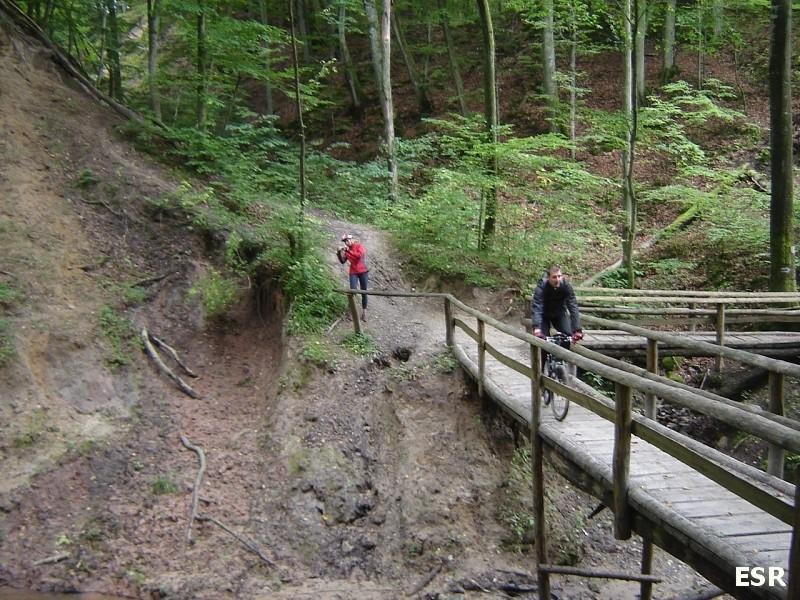 Bażantarnia - Mostek Elewów