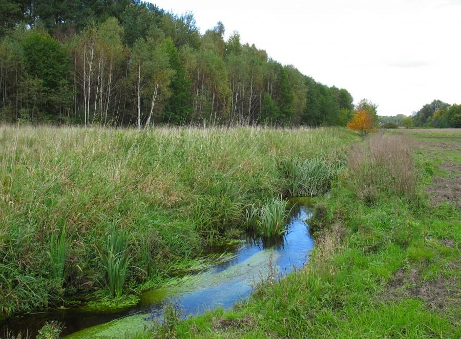 Strumień przy 52N, 21E