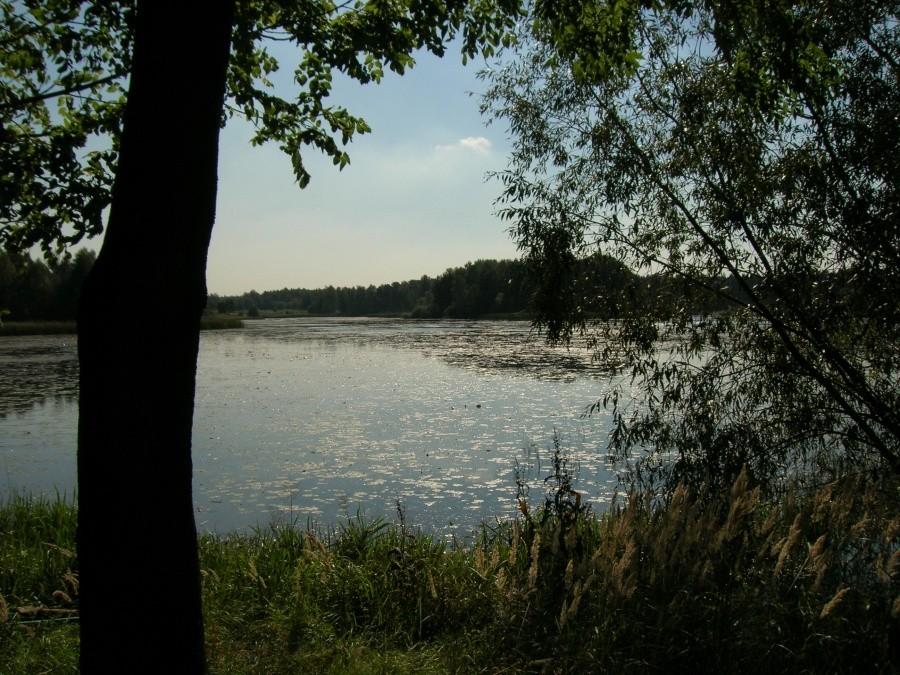 zbiornik wodny w Zielonej (Kalety)
