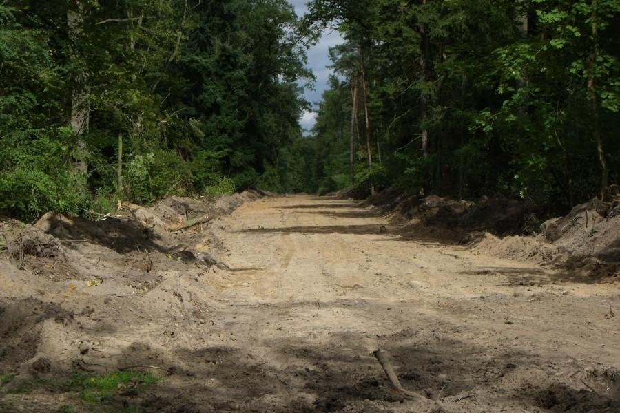 Genialny pomysł z drogą pośrodku lasu Malin