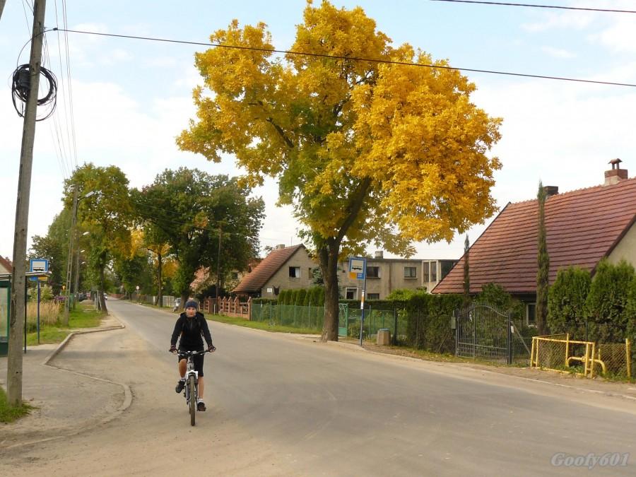 Jesień juz tuż tuż