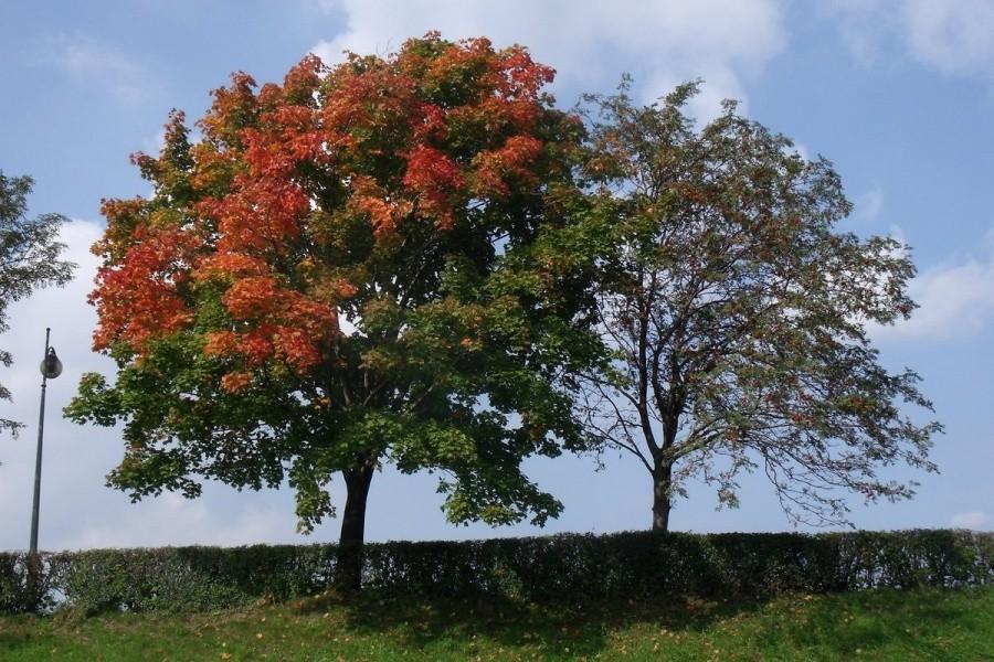 Nadchodzi jesień