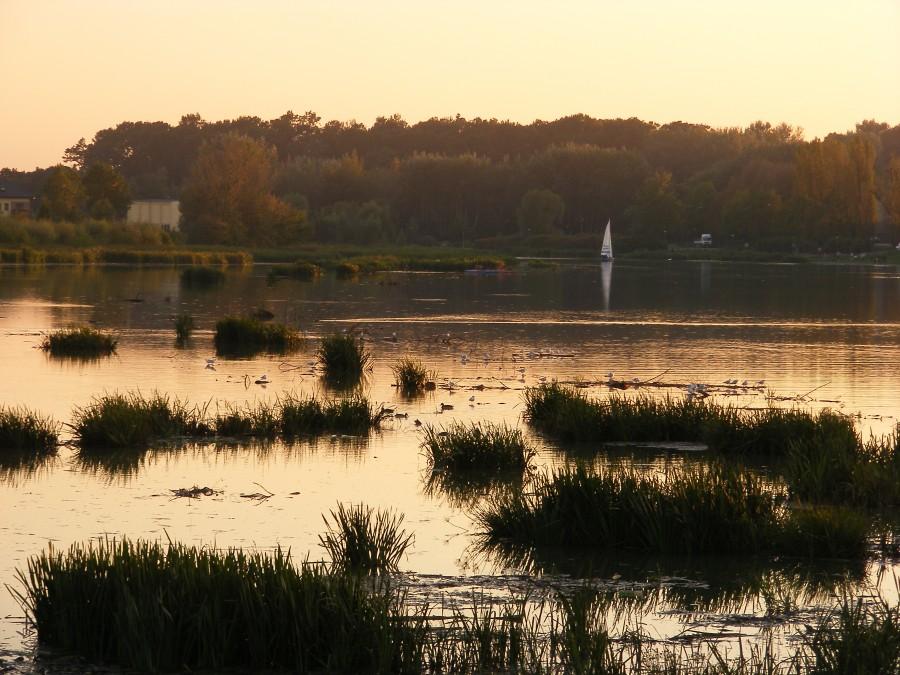 Rzeszowski zalew