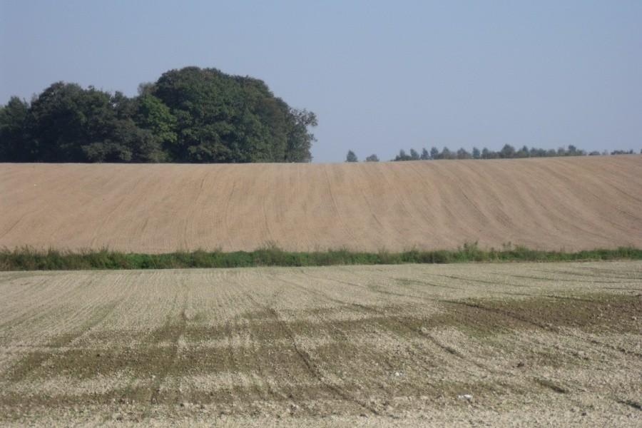 Bezkresna dal