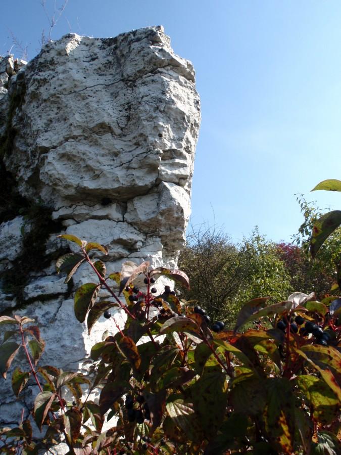 Skałka koło Przybynowa