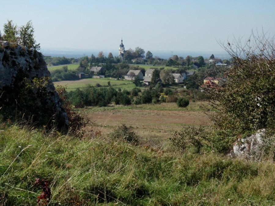 Widok na Przybynów
