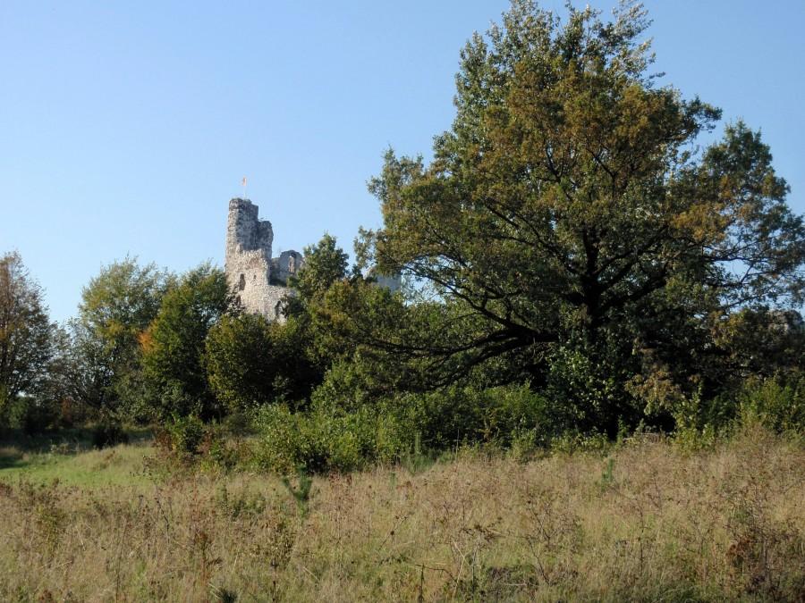 Zamek w Mirowie