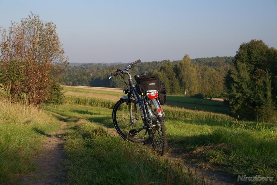 nieźle się zapowiada