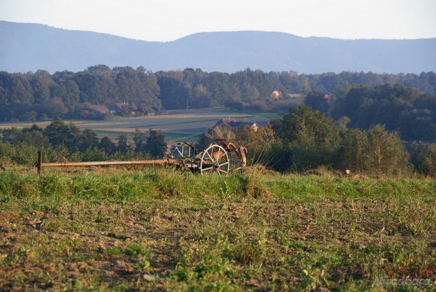 jakieś dziwne ustrojstwo