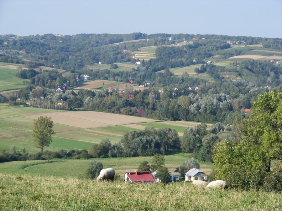 Widok z drogi krzyżowej obok klasztoru w Borku
