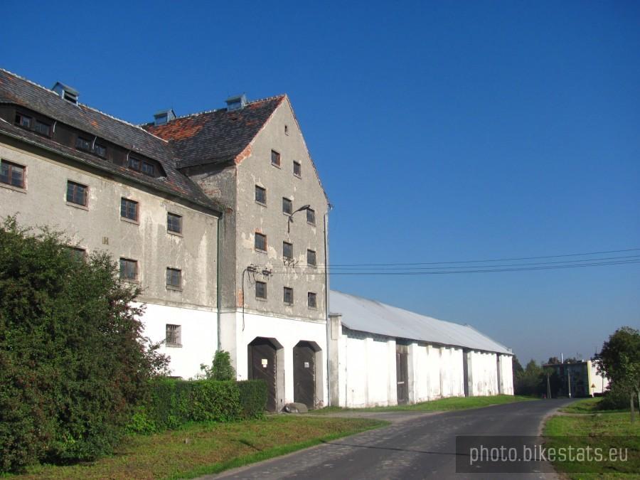 w księżym lesie