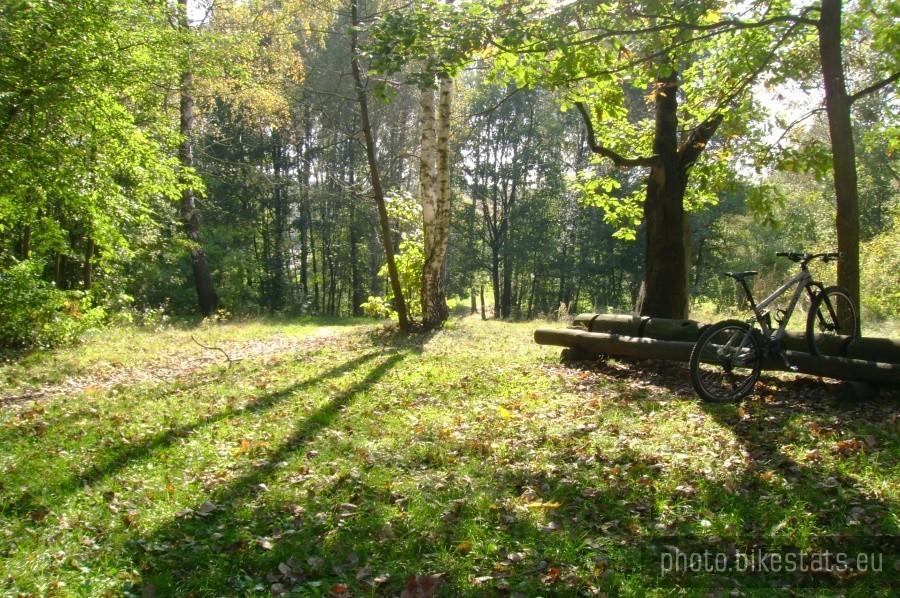 Słoneczna górka na kaloryferze