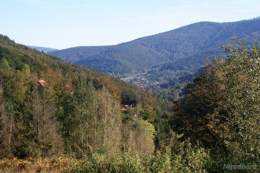 widok w stronę Międzybrodzia