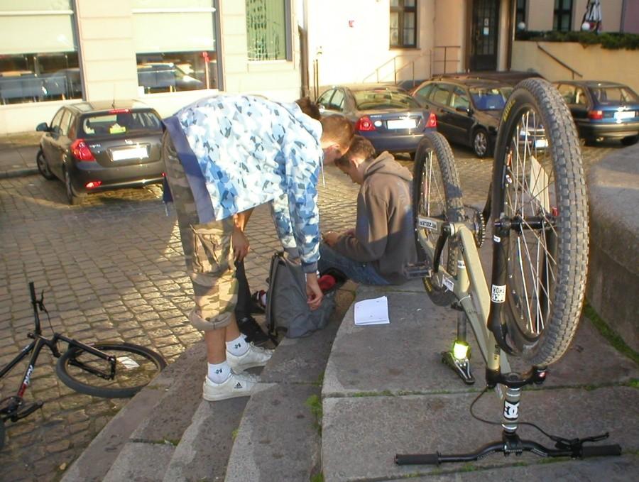 NA STARCIE-BUKATO I NAJMŁODSZY UCZESTNIK: DRZEWO