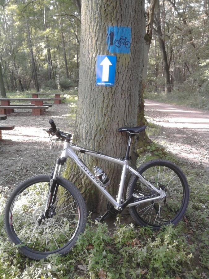Duży Pierścień Rowerowy