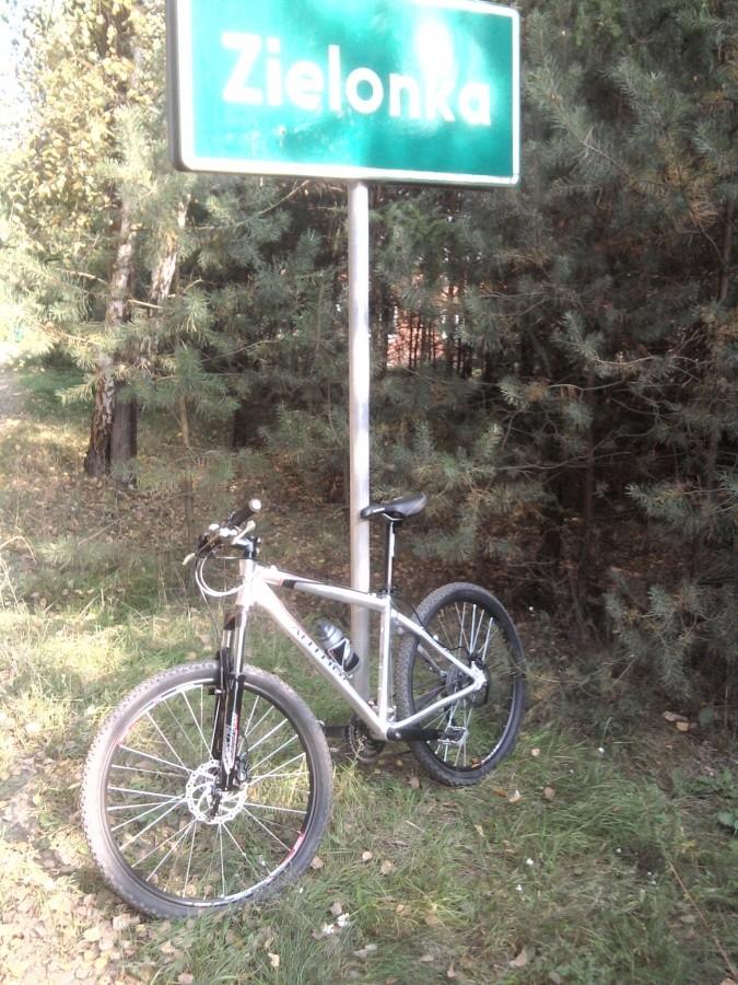 Zielonka