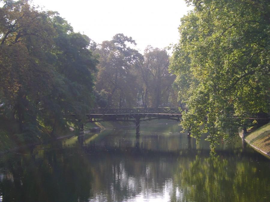 W parku we Wrocławiu