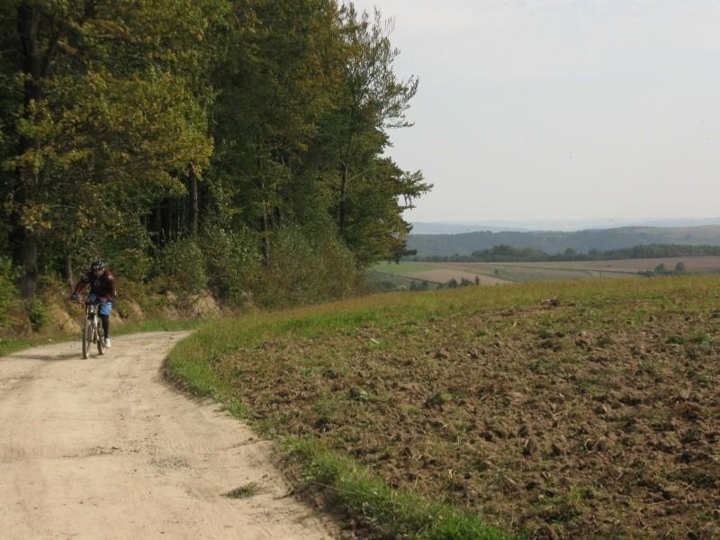Pyrówki.