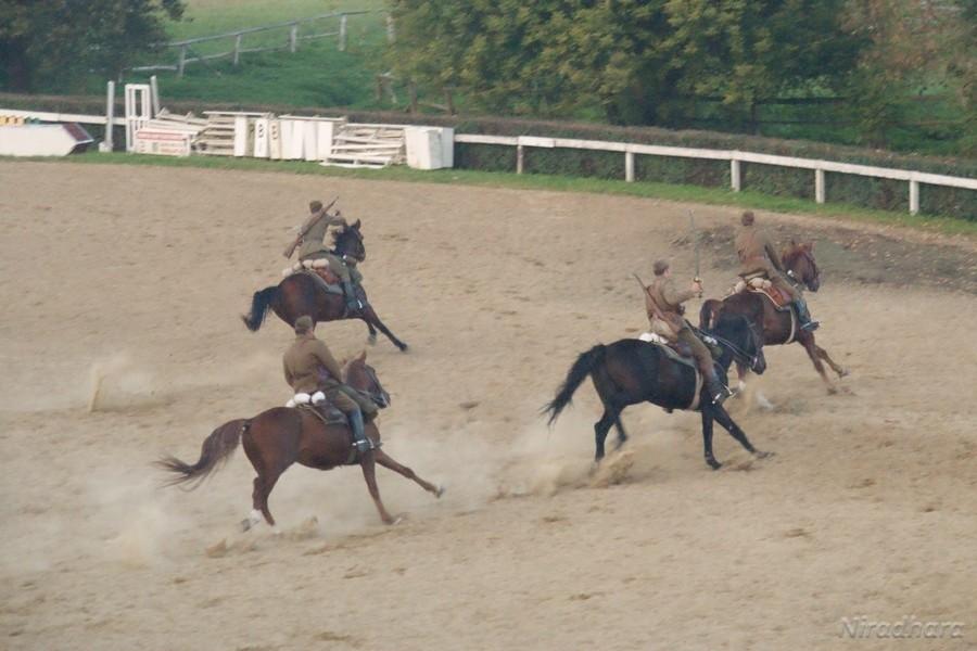 uwaga, zakręt