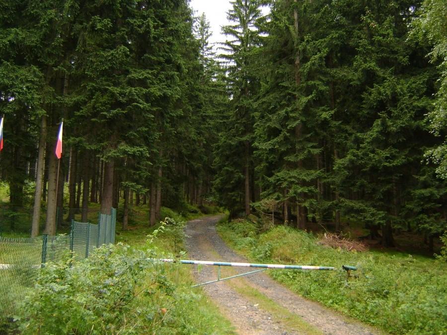 w karkonoszach