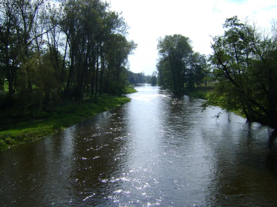 Pilica w Przedborzu