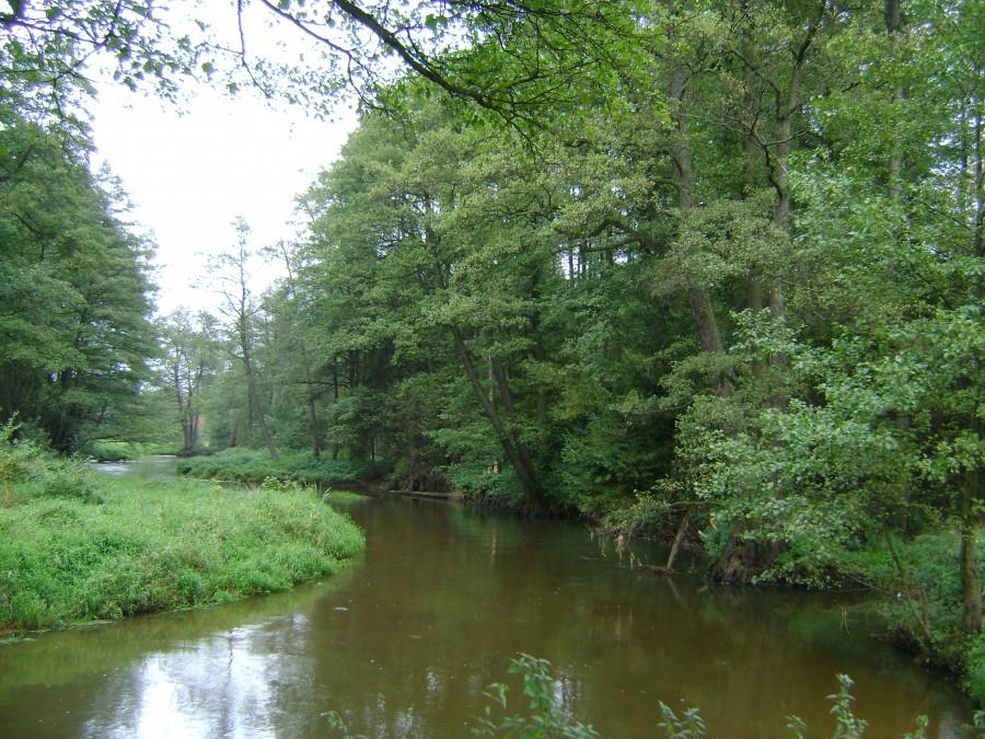 Jesień nad Luciążą we Włodzimierzowie