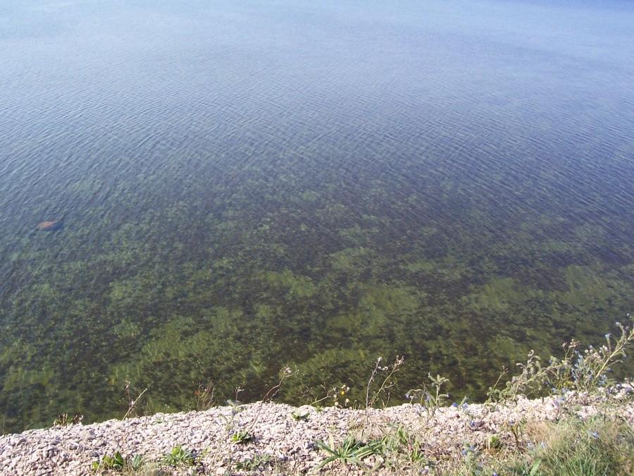 klif Panga