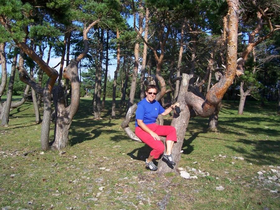 klif Panga