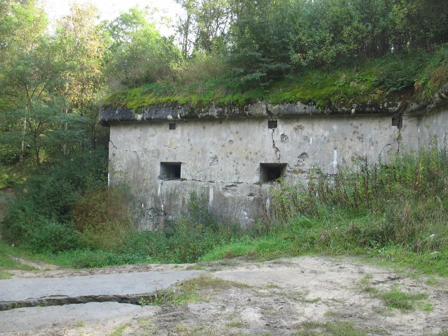 Cybulice Małe - Fort VII