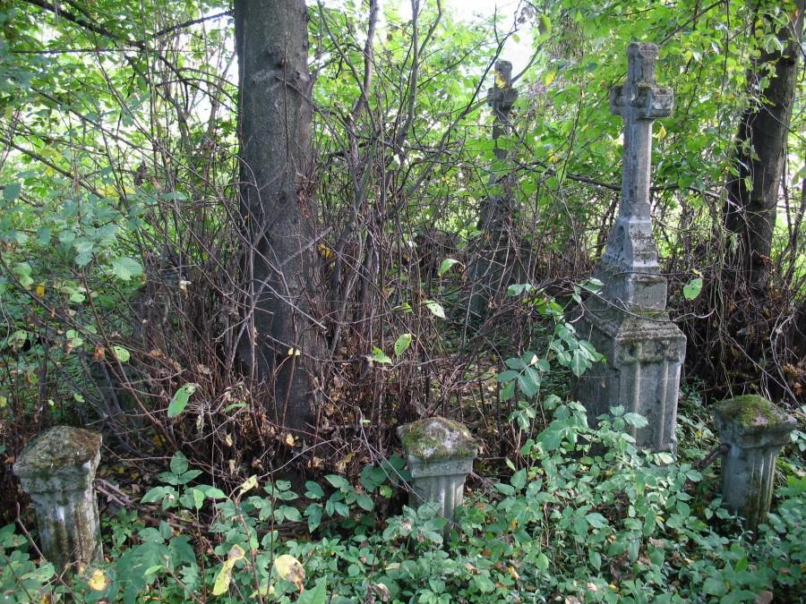 Wilków n/Wisłą - cmentarz Olędrów
