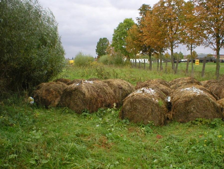 EKOLOGICZNA ZAPORA NA DRODZE LOTNISKOWEJ :-)