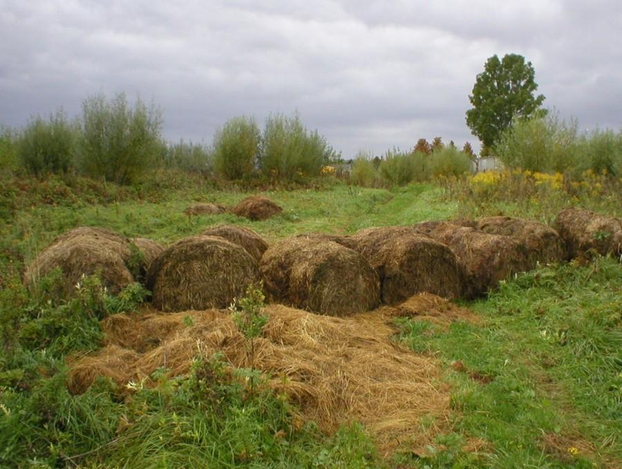 EKOLOGICZNA ZAPORA NA DRODZE LOTNISKOWEJ