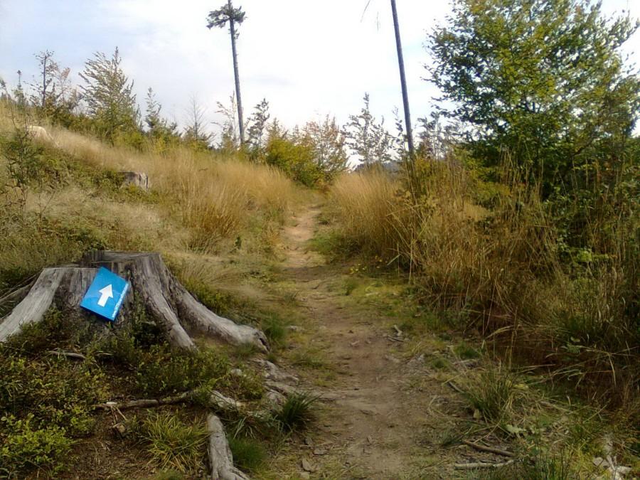 Na trasie bike maratonu
