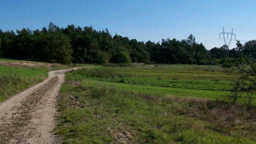 Ścieżka do azotów