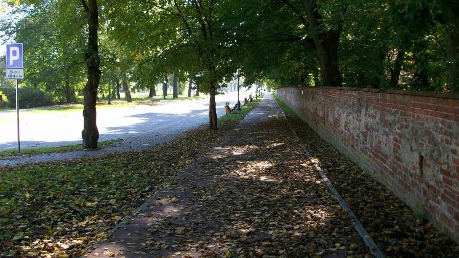 Ścieżka na Kazimierskiej