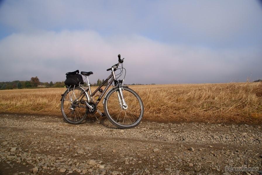 rżysko