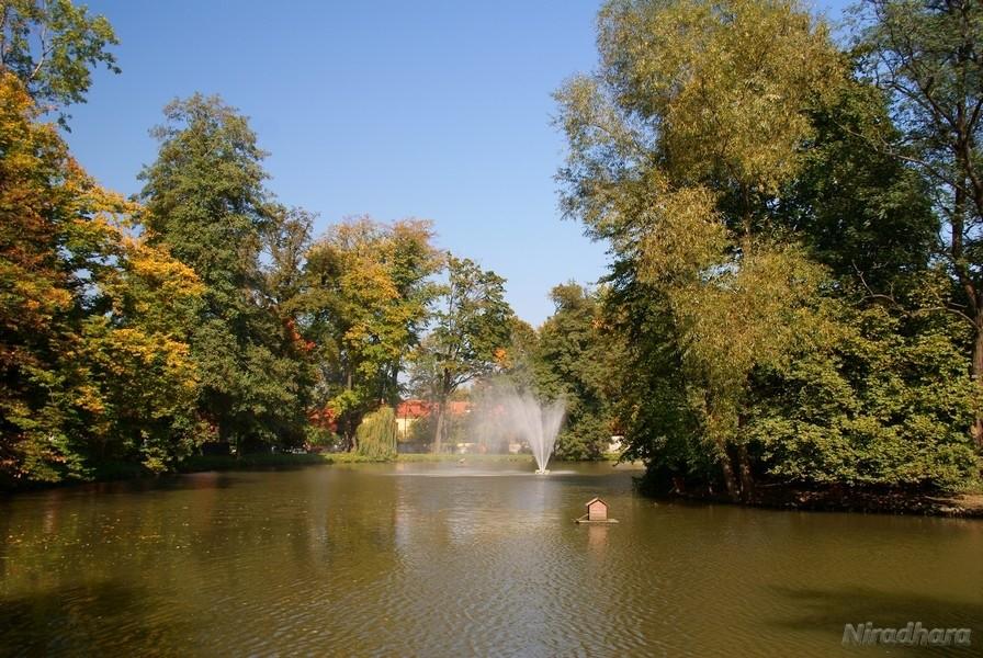 park w Andrychowie