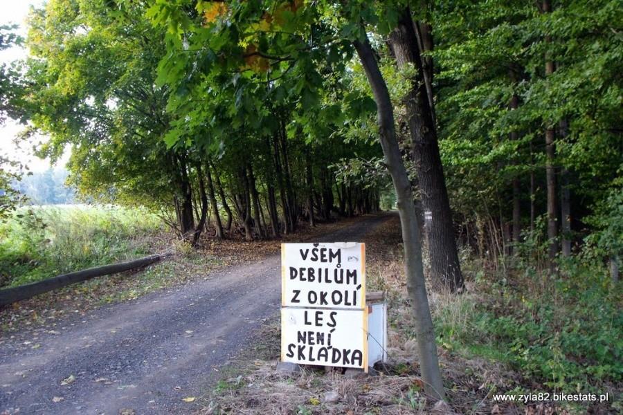 Las to nie składowisko