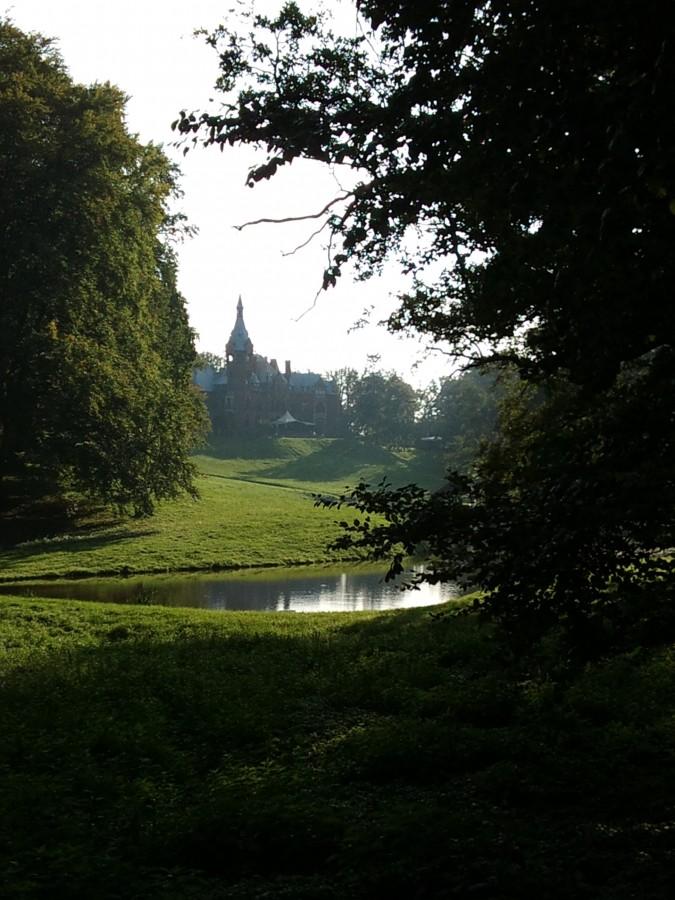 Widok pałacu z jednej z alejek parkowych