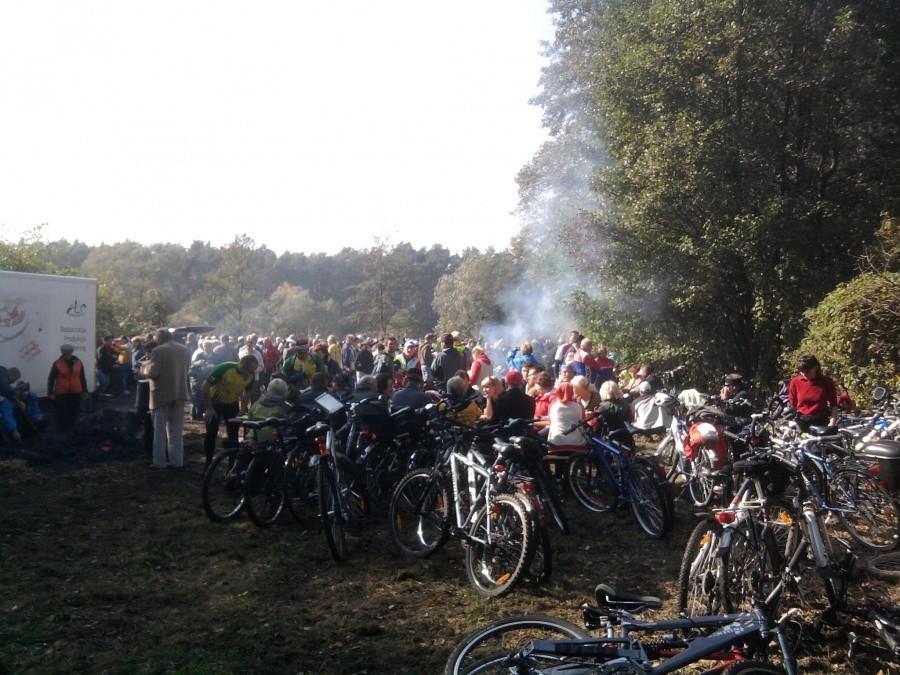 Zielątkowo - polana nad Samicą Kierską