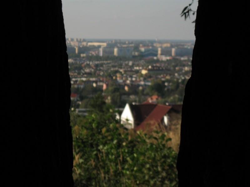 Rzeszów zza drzewa.