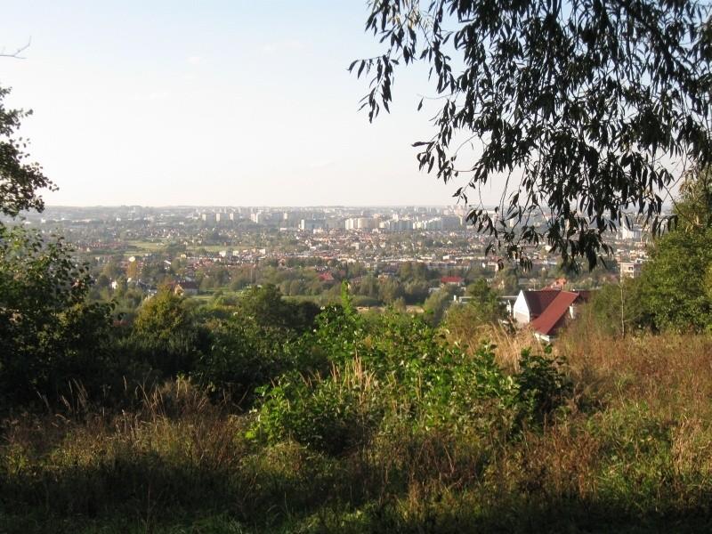 Rzeszów z Zalesia.
