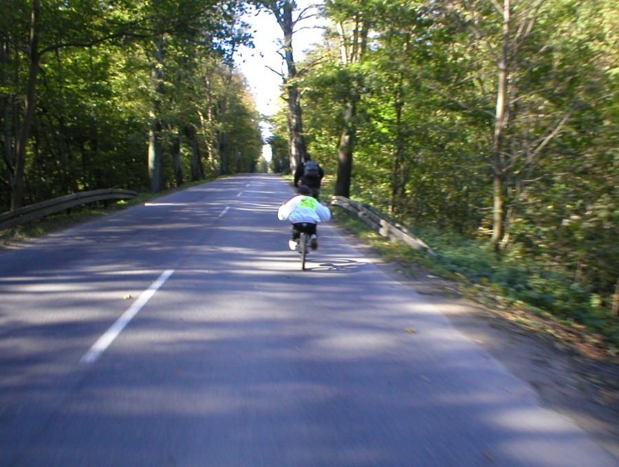 WYGLĄDAŁ Z DALEKA JAK WILLOW. NA BMX ODSTAWAŁ OD ASFALTU NA 0,5 M :-))