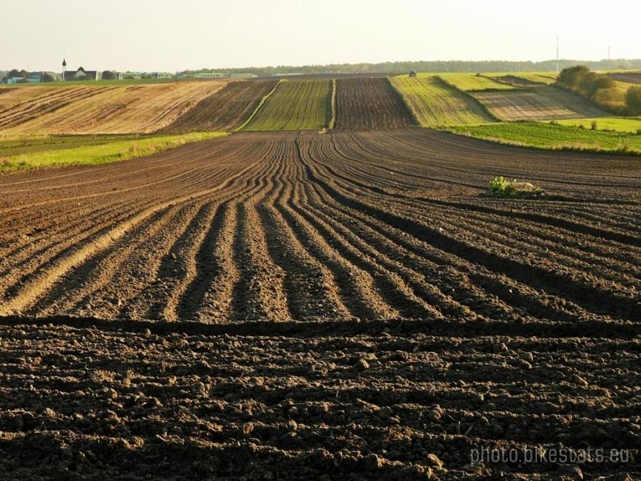 Przez jesienne pola