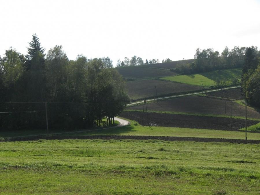 Droga w górach