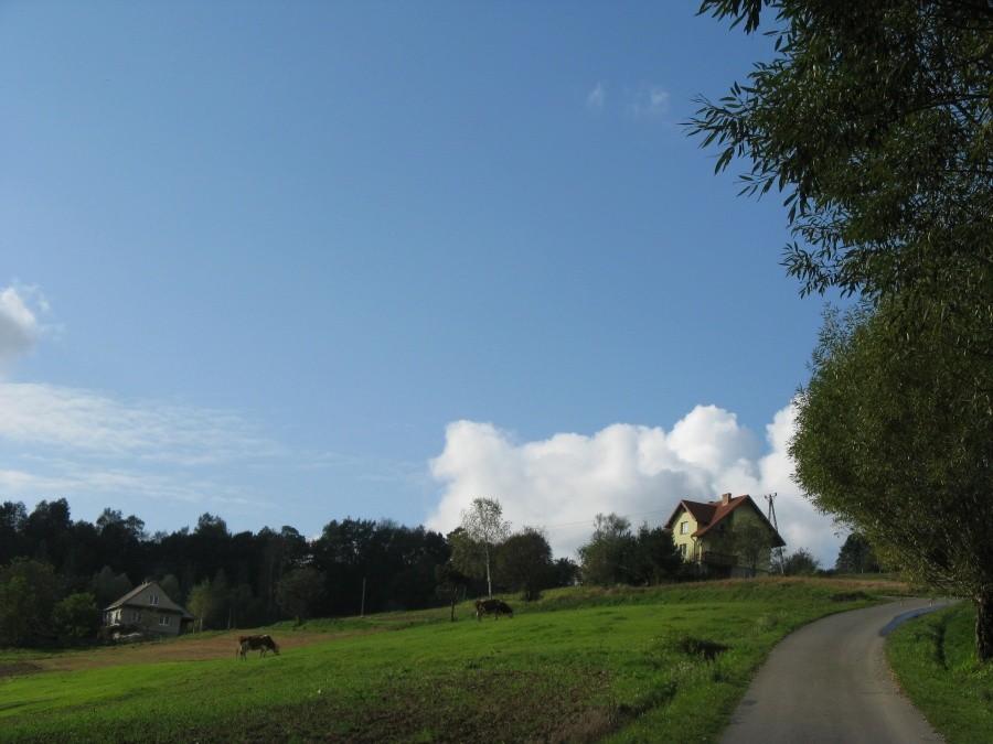 Widoczek :)