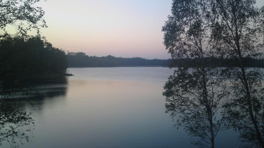 Stawiki wieczorową porą
