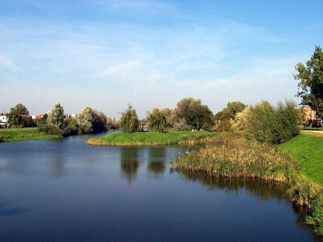 Jeziorko z wyspeką przy Derdowskiego.