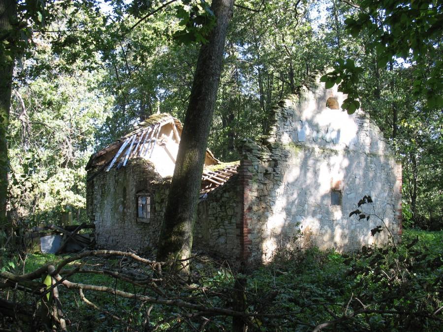 Góry - ruiny stajni przy pałacu Dembińskich