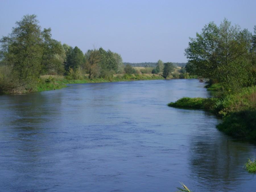Pilica